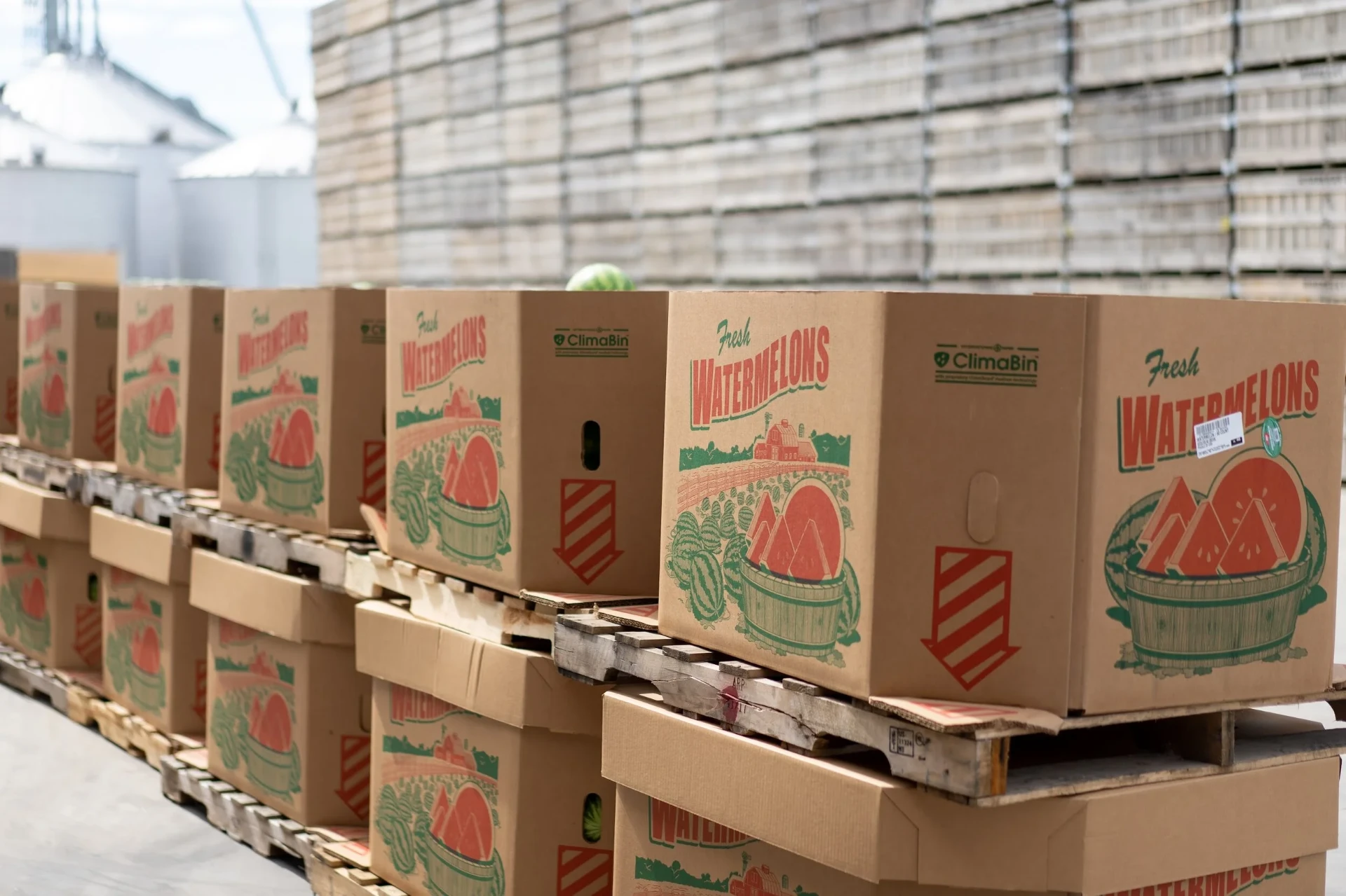 Kornegay Fresh Watermelons cartons ready for shipment.
