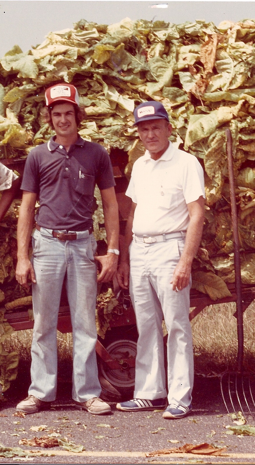 Frank Kornegay and his son Danny standing in front of a wagon of harvested tobacco leaves, circa 1970s.